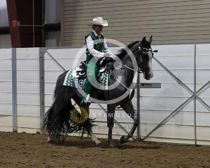 14. Amateur Trail Pleasure Walking English:Class-140000s0002IMG0037.jpg