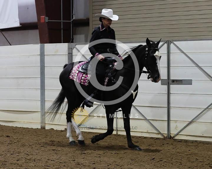 14. Amateur Trail Pleasure Walking English:Class-140000s0003IMG0034.jpg