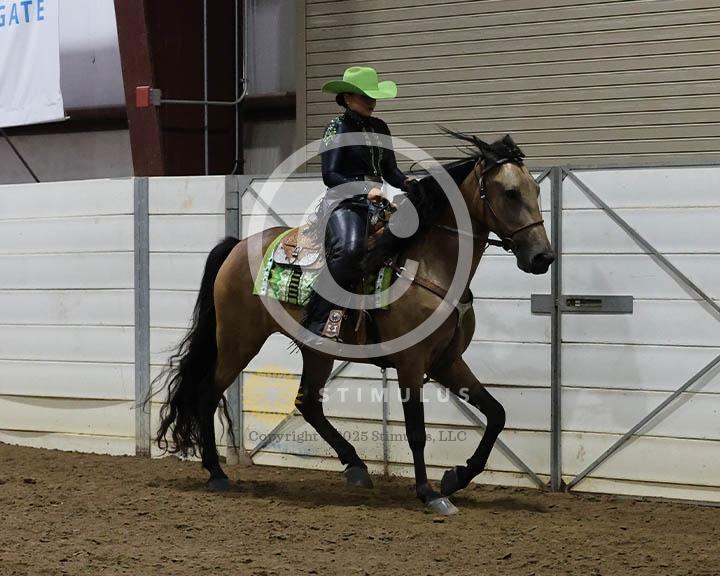 14. Amateur Trail Pleasure Walking English:Class-140000s0005IMG0027.jpg