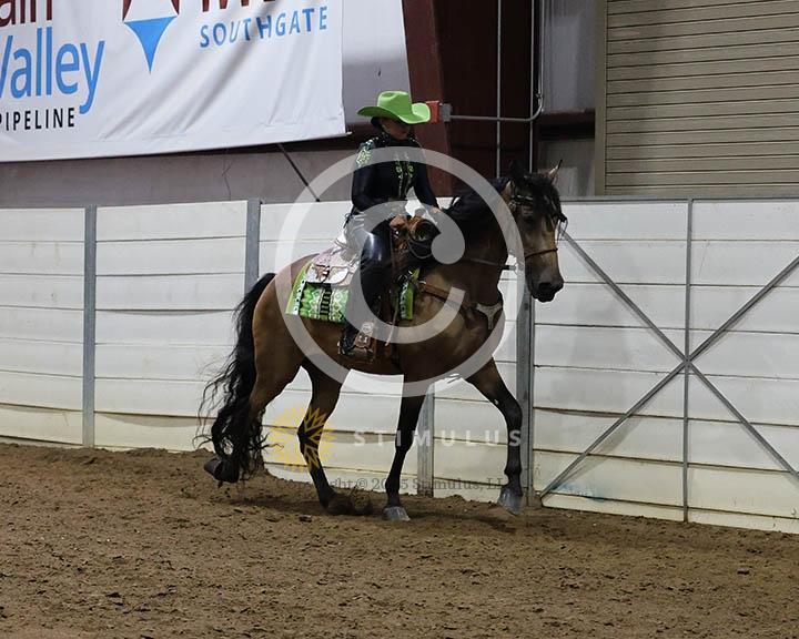 14. Amateur Trail Pleasure Walking English:Class-140000s0006IMG0025.jpg