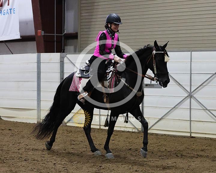 14. Amateur Trail Pleasure Walking English:Class-140000s0007IMG0023.jpg