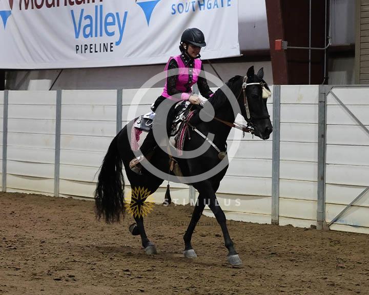 14. Amateur Trail Pleasure Walking English:Class-140000s0008IMG0021.jpg