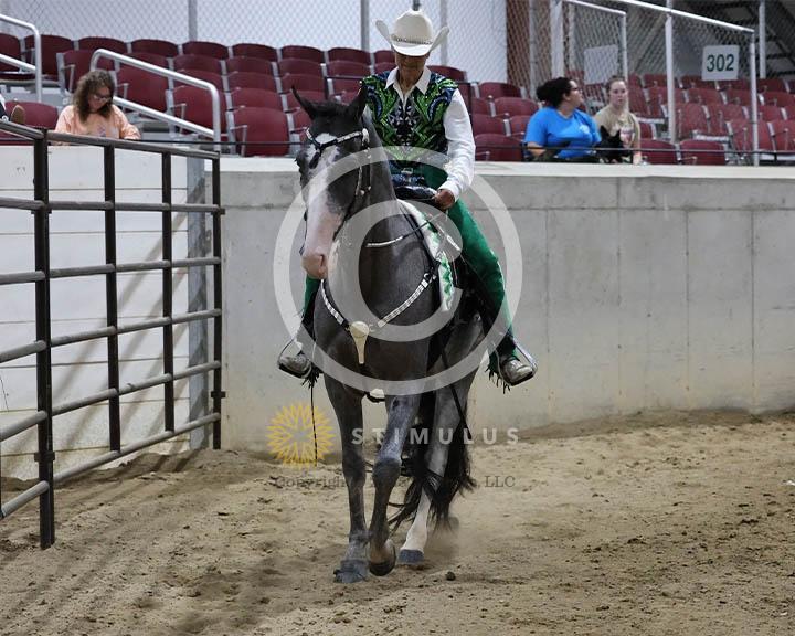 14. Amateur Trail Pleasure Walking English:Class-140000s0009IMG0020.jpg