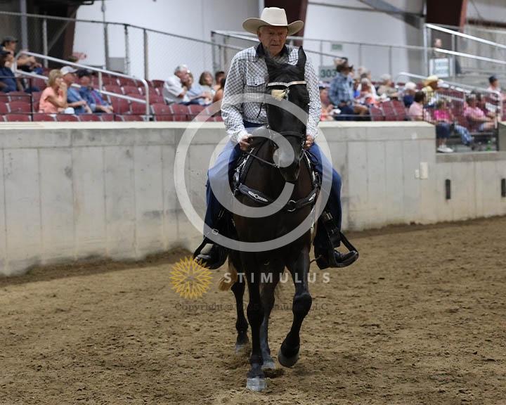 14. Amateur Trail Pleasure Walking English:Class-140000s0010IMG0018.jpg