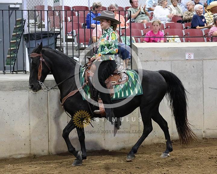  12. 5 and Under Country Pleasure Walking Amateur E/W:Class-120000s0005IMG0002.jpg