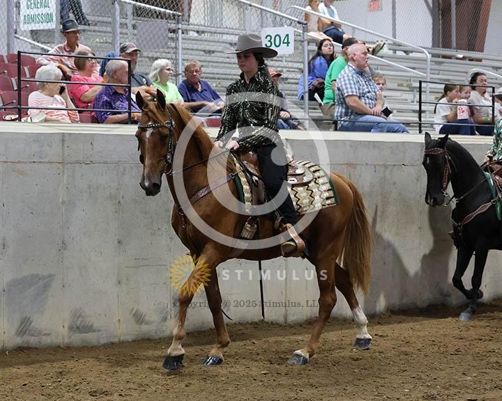  12. 5 and Under Country Pleasure Walking Amateur E/W:Class-120000s0006IMG0001.jpg