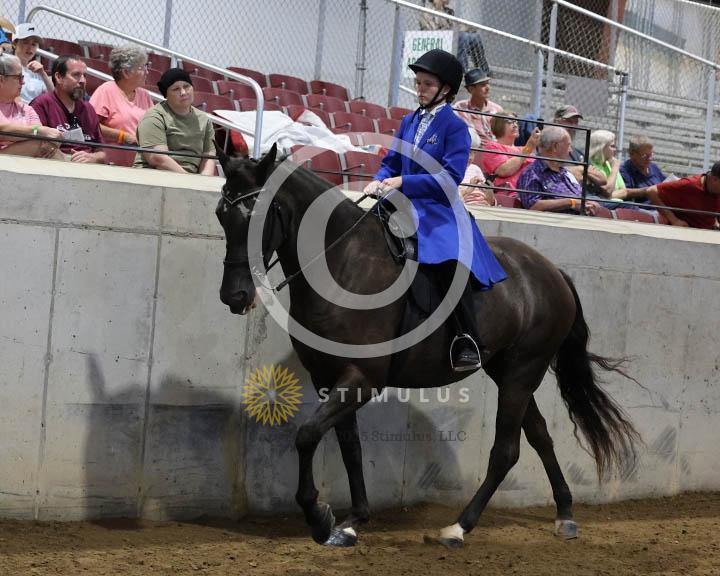 11.  Youth Trail Pleasure Racking 17 and Under