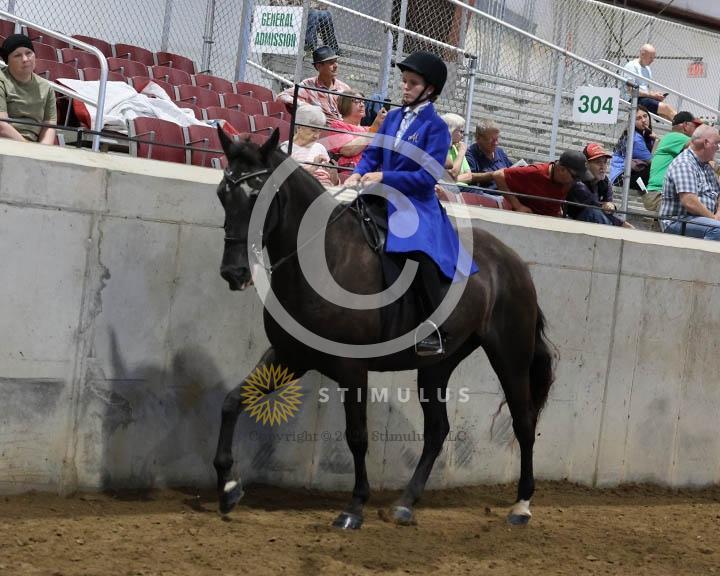 11.  Youth Trail Pleasure Racking 17 and Under:Class-110000s0002IMG9994.jpg