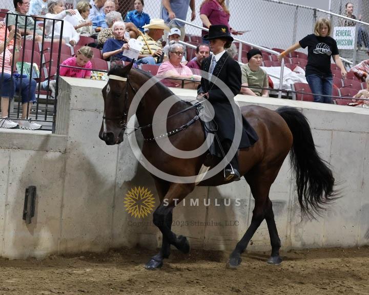 11.  Youth Trail Pleasure Racking 17 and Under:Class-110000s0003IMG9993.jpg