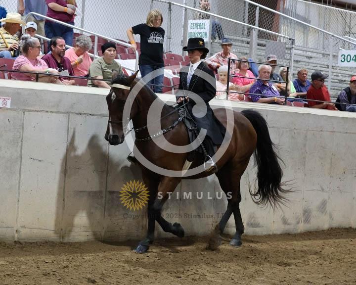 11.  Youth Trail Pleasure Racking 17 and Under:Class-110000s0004IMG9989.jpg