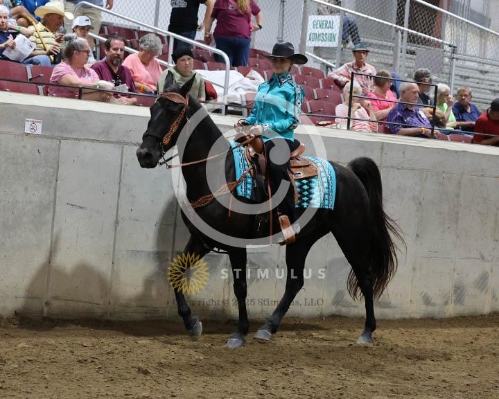 11.  Youth Trail Pleasure Racking 17 and Under:Class-110000s0005IMG9988.jpg