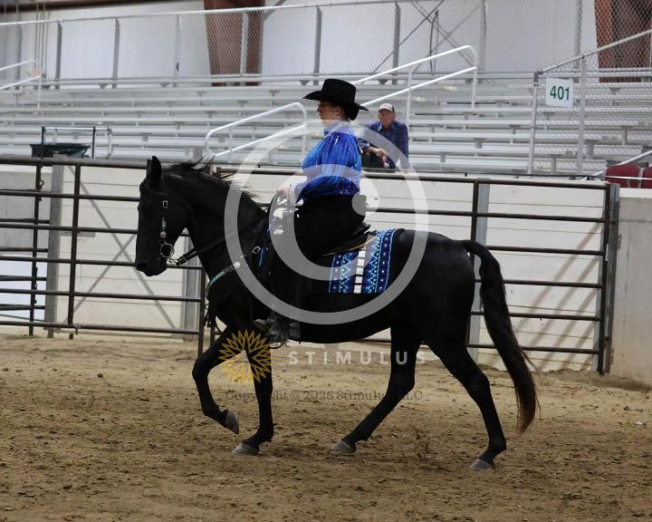 11.  Youth Trail Pleasure Racking 17 and Under:Class-110000s0006IMG9984.jpg