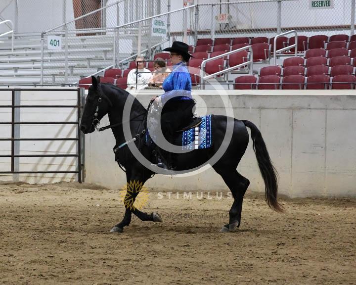 11.  Youth Trail Pleasure Racking 17 and Under:Class-110000s0007IMG9983.jpg