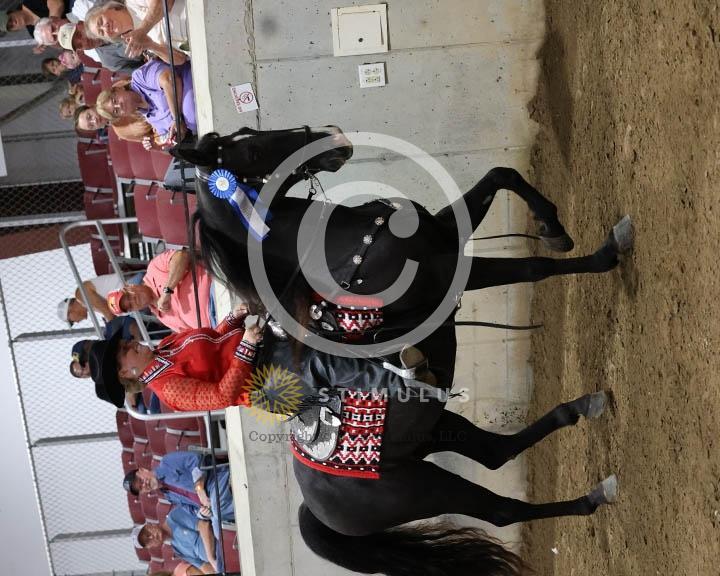 11.  Youth Trail Pleasure Racking 17 and Under:Class-110000s0008IMG9942.jpg