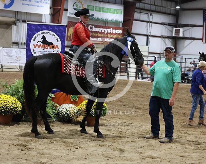 11.  Youth Trail Pleasure Racking 17 and Under:Class-110000s0009IMG9937.jpg