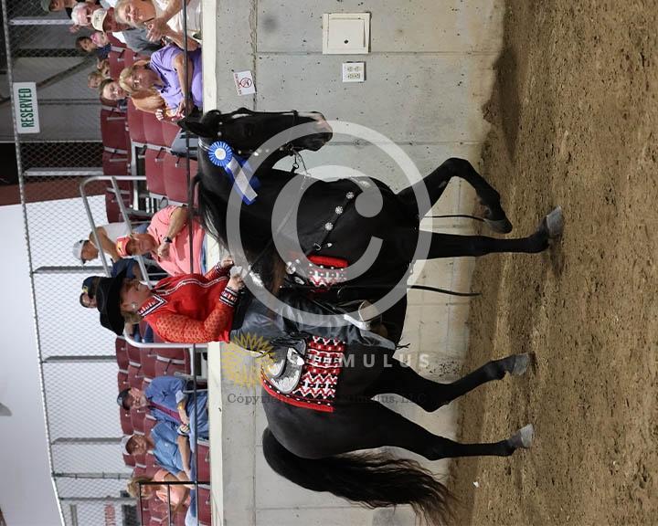 11.  Youth Trail Pleasure Racking 17 and Under:Class-110000s0010IMG9942.jpg