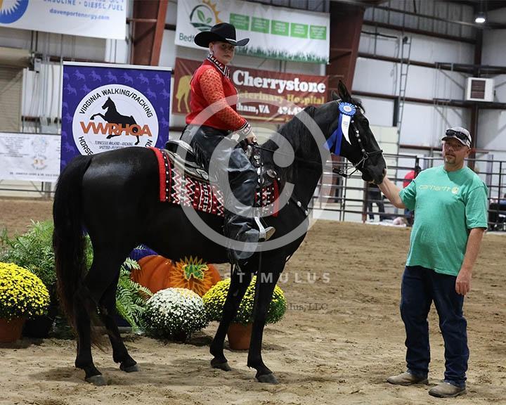 11.  Youth Trail Pleasure Racking 17 and Under:Class-110000s0011IMG9937.jpg