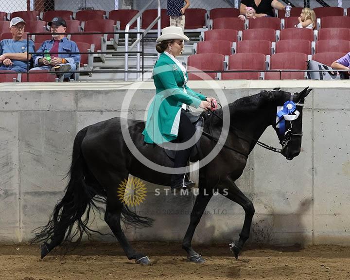 18. Trail Pleasure Walking - E/W:Class-180000s0000IMG0272.jpg