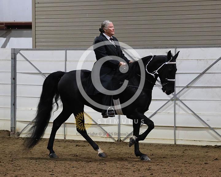 18. Trail Pleasure Walking - E/W