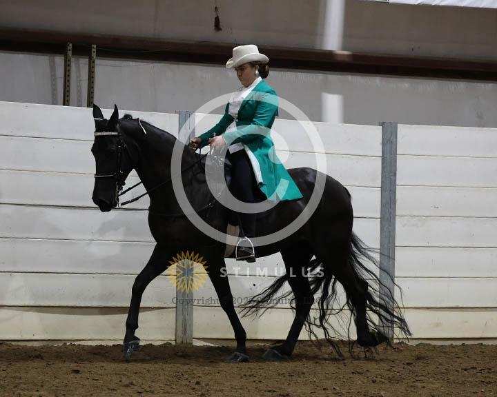 18. Trail Pleasure Walking - E/W:Class-180000s0002IMG0258.jpg