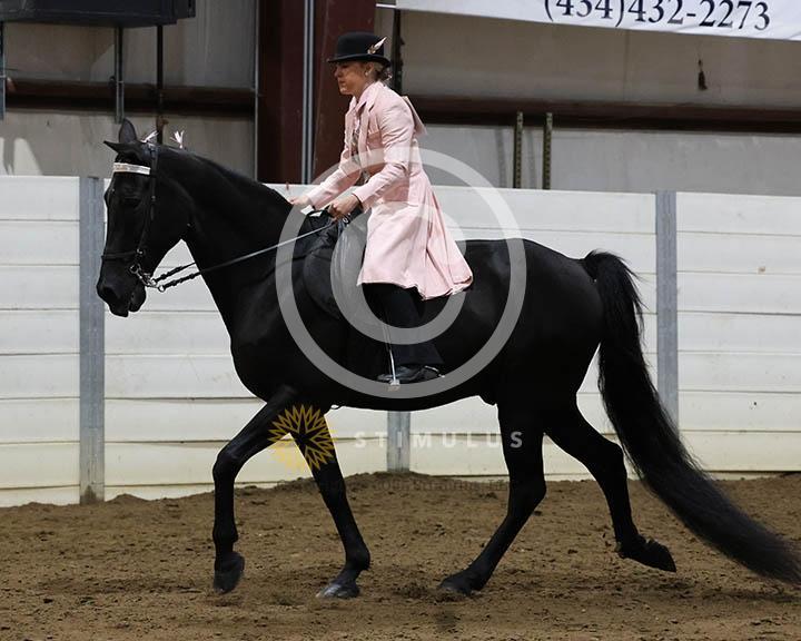 18. Trail Pleasure Walking - E/W:Class-180000s0003IMG0254.jpg