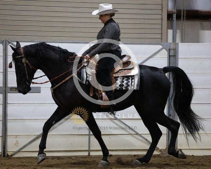 18. Trail Pleasure Walking - E/W:Class-180000s0004IMG0246.jpg