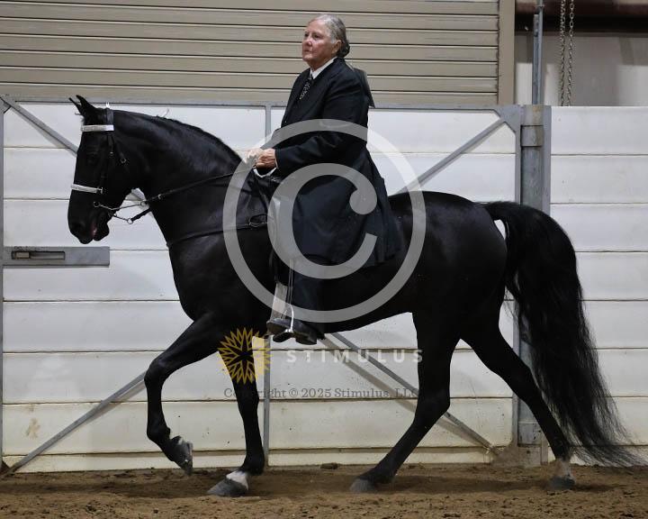 18. Trail Pleasure Walking - E/W:Class-180000s0005IMG0237.jpg