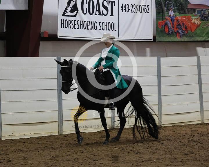 18. Trail Pleasure Walking - E/W:Class-180000s0006IMG0229.jpg