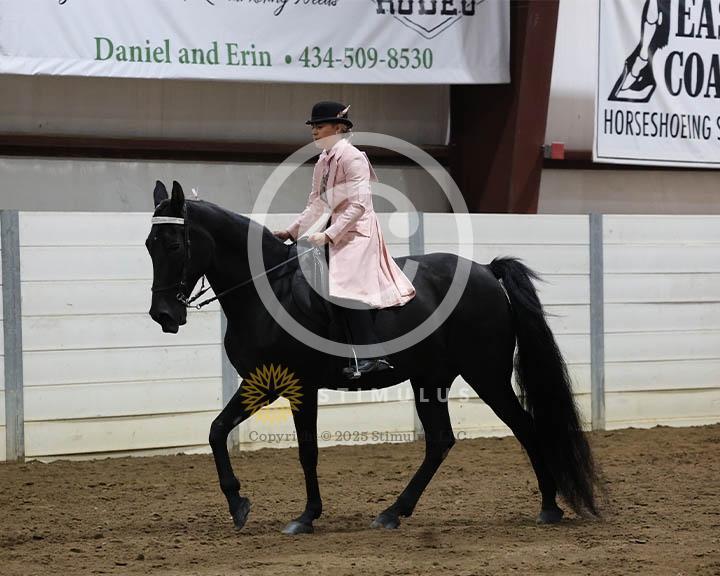 18. Trail Pleasure Walking - E/W:Class-180000s0007IMG0225.jpg