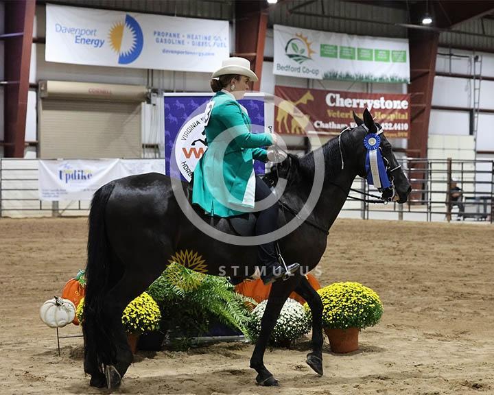 18. Trail Pleasure Walking - E/W:Class-180000s0008IMG0063.jpg