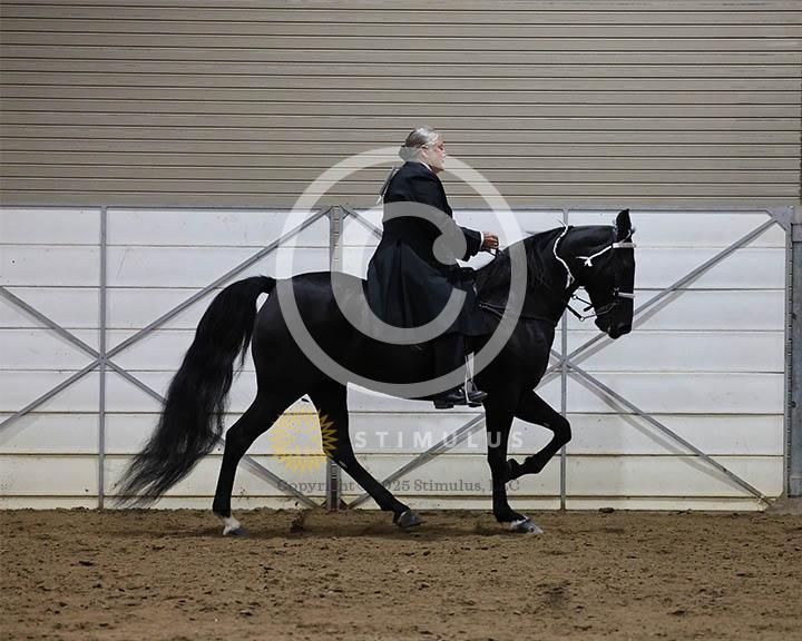 18. Trail Pleasure Walking - E/W:Class-180000s0009IMG0061.jpg