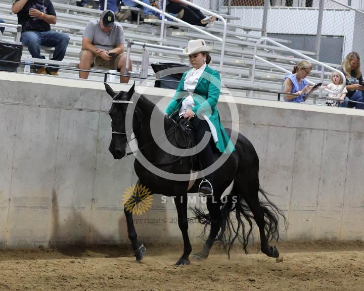 18. Trail Pleasure Walking - E/W:Class-180000s0010IMG0054.jpg