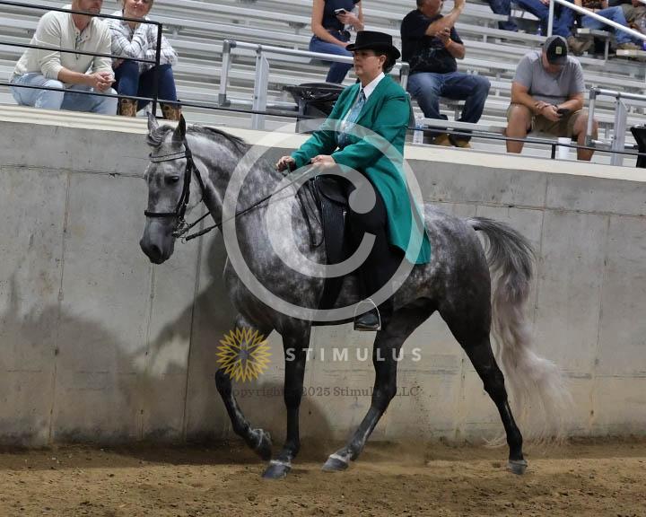 18. Trail Pleasure Walking - E/W:Class-180000s0011IMG0052.jpg