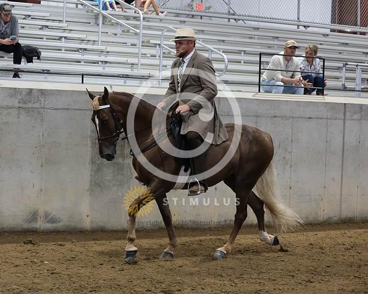 18. Trail Pleasure Walking - E/W:Class-180000s0012IMG0051.jpg