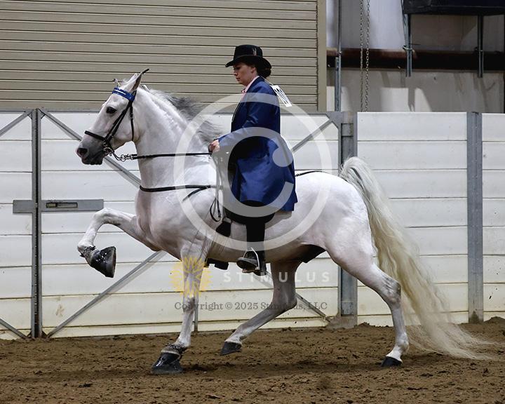 19. Walking Amateur Mares and Geldings Specialty