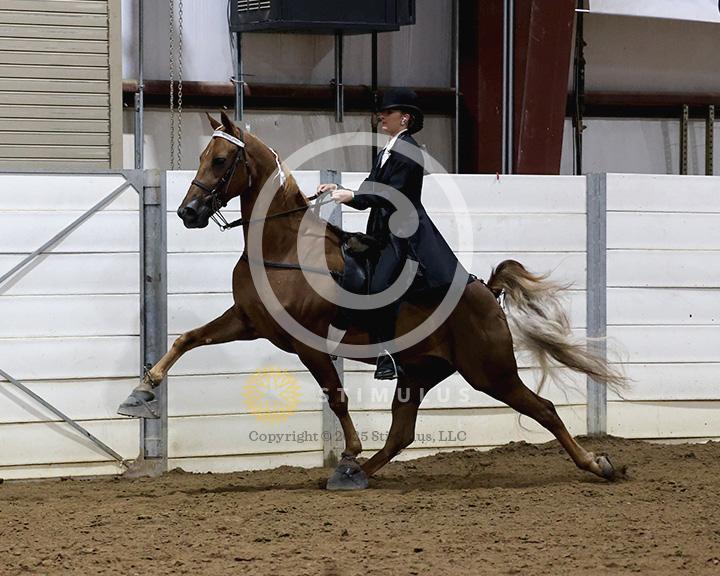 19. Walking Amateur Mares and Geldings Specialty:class-19-IMG0292.jpg