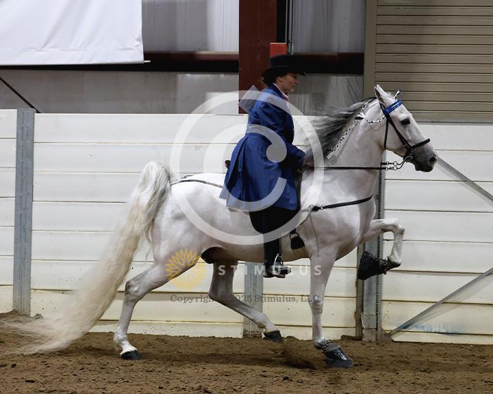 19. Walking Amateur Mares and Geldings Specialty:class-19-IMG0323.jpg
