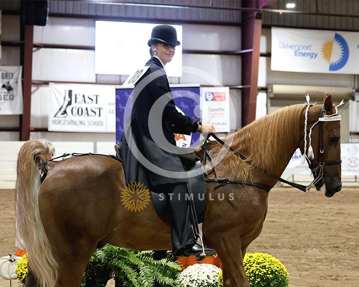 19. Walking Amateur Mares and Geldings Specialty:class-19-IMG0332.jpg