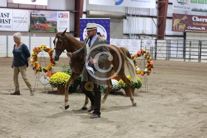 46. Open Model:IMG1128.jpeg