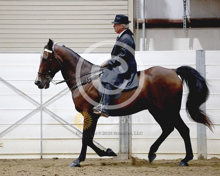 20. All Day Racking:class-20-IMG0352.jpg