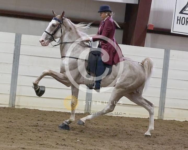 21. 2 Year Old Walking Amateur