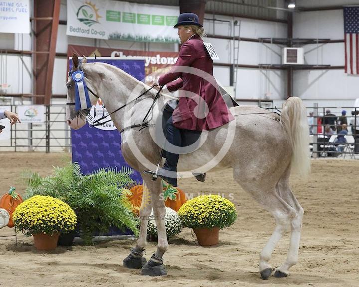 21. 2 Year Old Walking Amateur:low-res0000s0001IMG0414.jpg