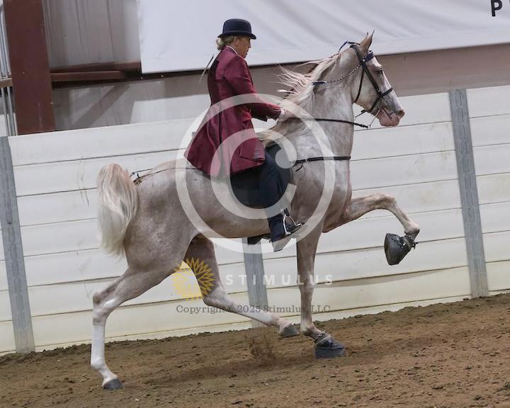 21. 2 Year Old Walking Amateur:low-res0000s0003IMG0409.jpg