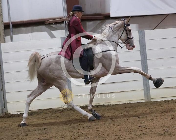 21. 2 Year Old Walking Amateur:low-res0000s0004IMG0407.jpg