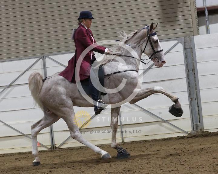 21. 2 Year Old Walking Amateur:low-res0000s0005IMG0402.jpg
