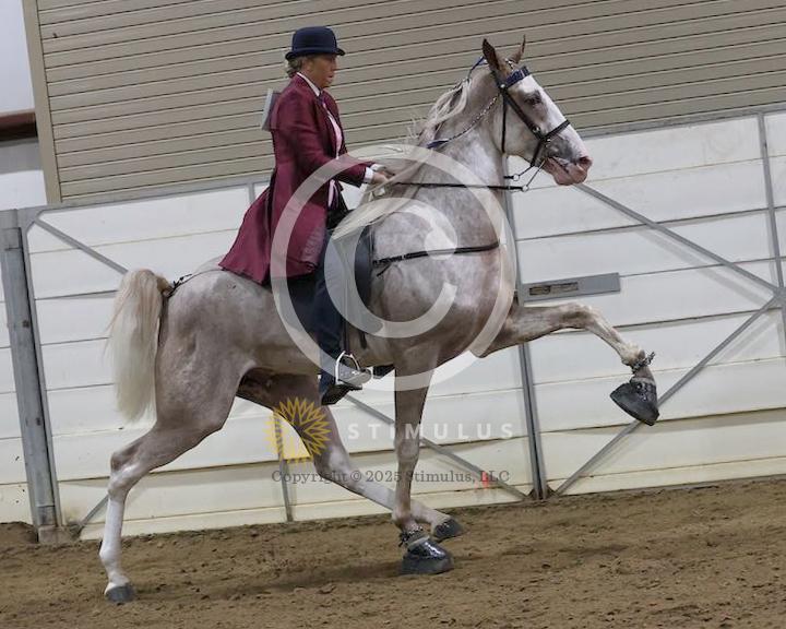 21. 2 Year Old Walking Amateur:low-res0000s0006IMG0400.jpg