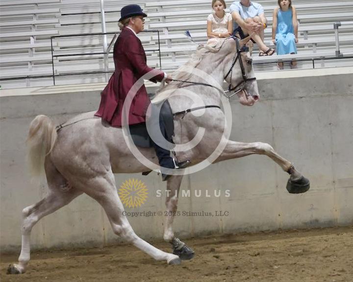 21. 2 Year Old Walking Amateur:low-res0000s0007IMG0395.jpg