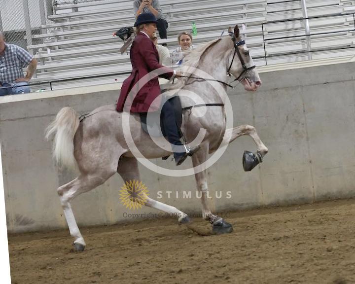 21. 2 Year Old Walking Amateur:low-res0000s0008IMG0392.jpg