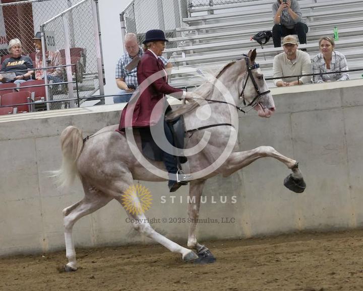 21. 2 Year Old Walking Amateur:low-res0000s0009IMG0390.jpg