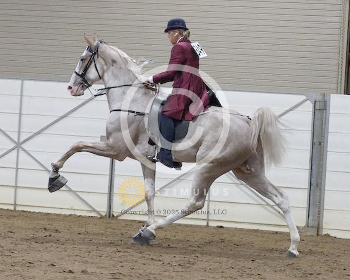 21. 2 Year Old Walking Amateur:low-res0000s0010IMG0386.jpg